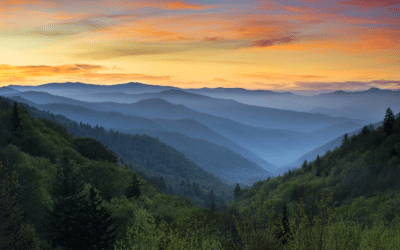 Resort Concierge Escapes The Smoky Mountains Experience